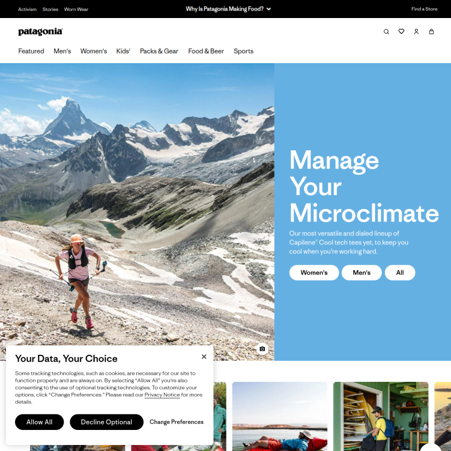 patagonia.com homepage screenshot