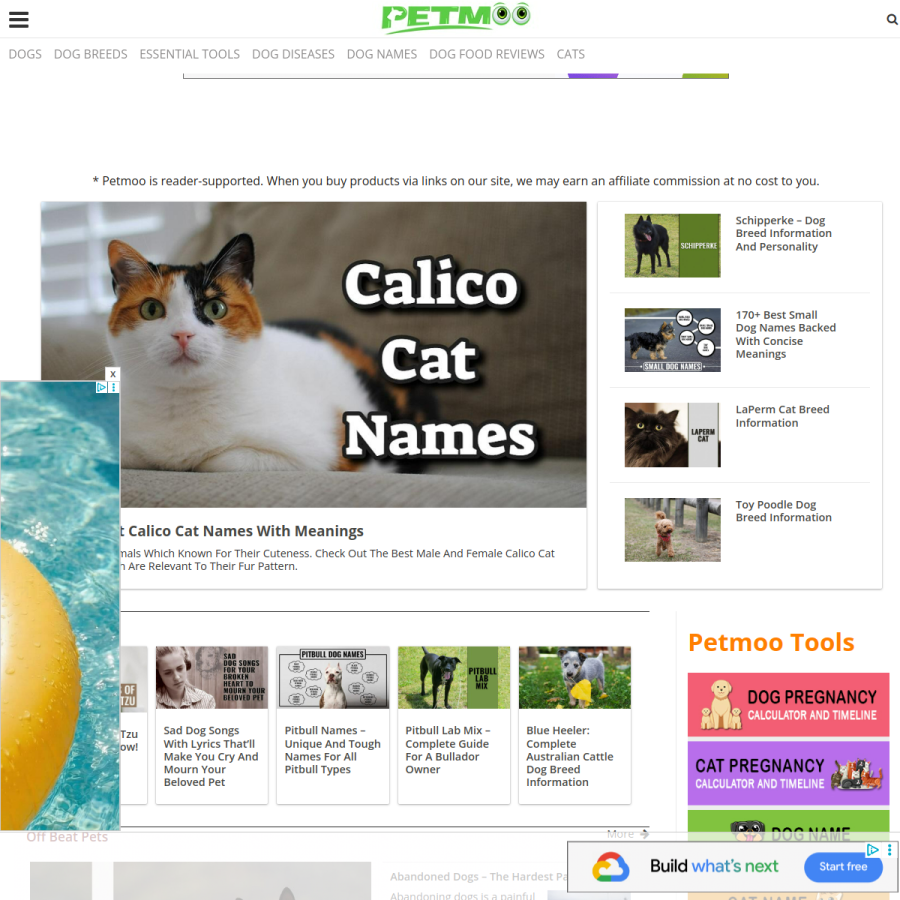 petmoo.com homepage screenshot