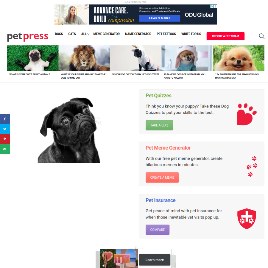 petpress.net homepage screenshot