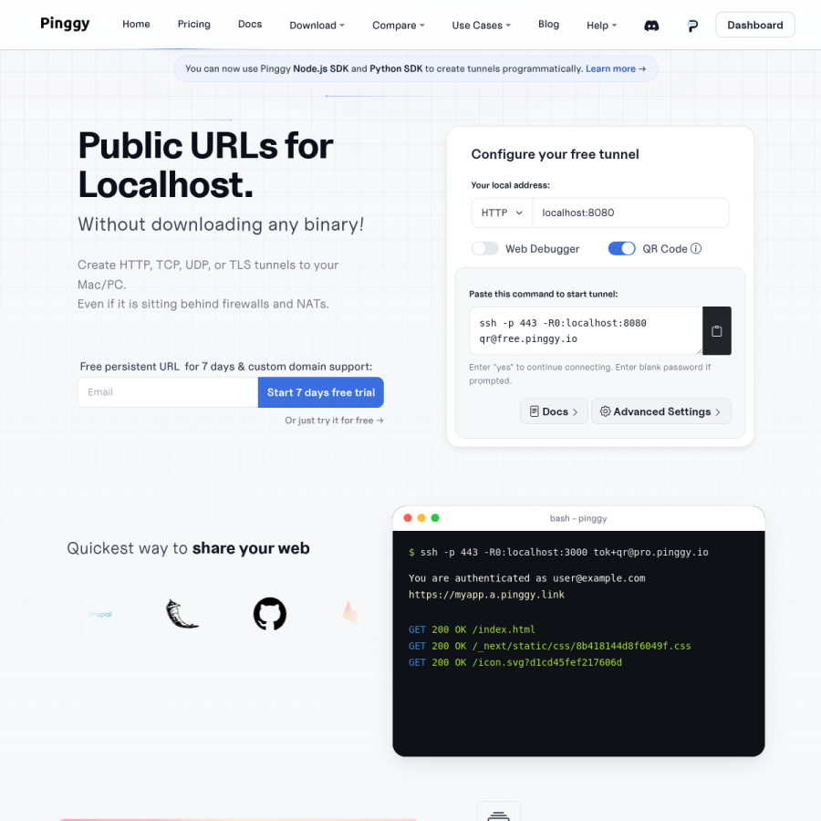 pinggy.io homepage screenshot