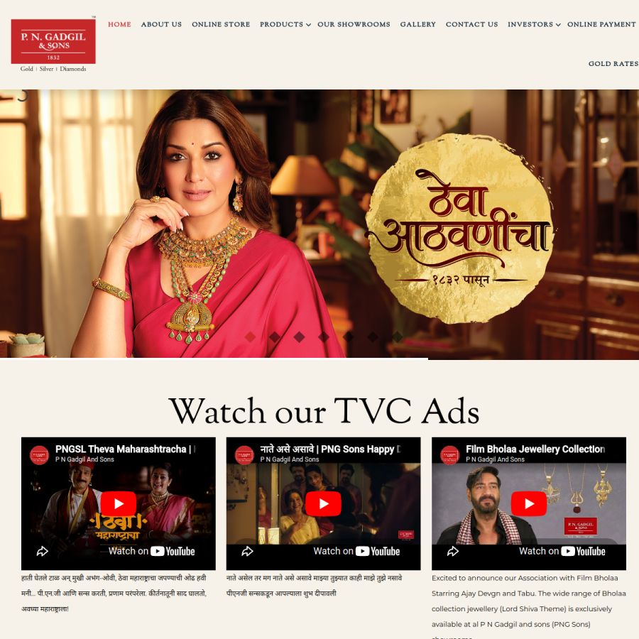 pngadgilandsons.com homepage screenshot