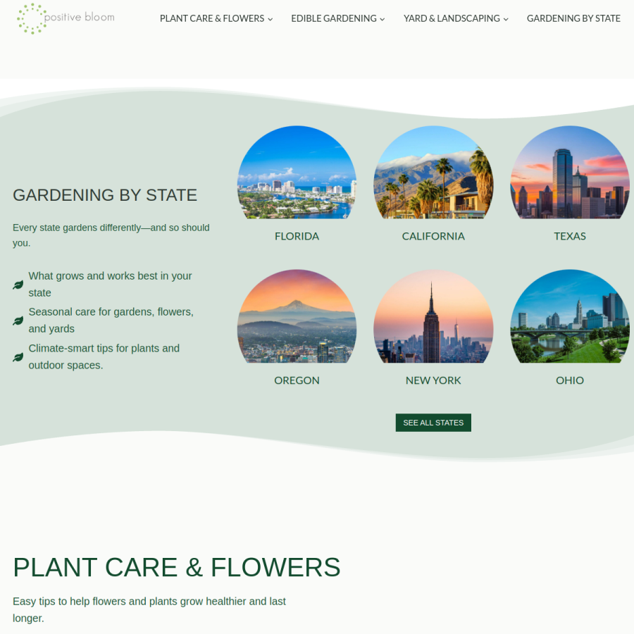 positivebloom.com homepage screenshot