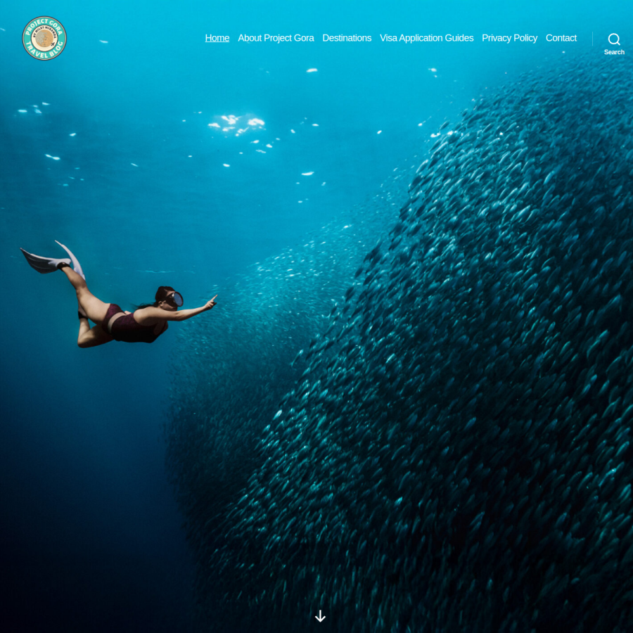 projectgora.com homepage screenshot