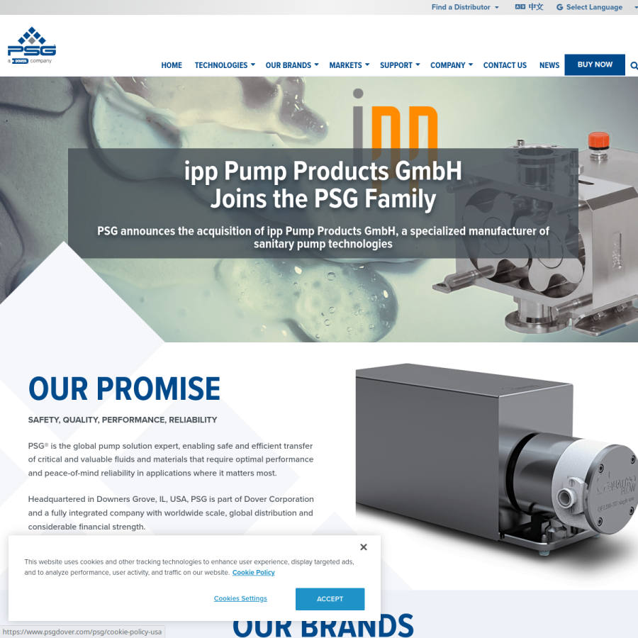 psgdover.com homepage screenshot