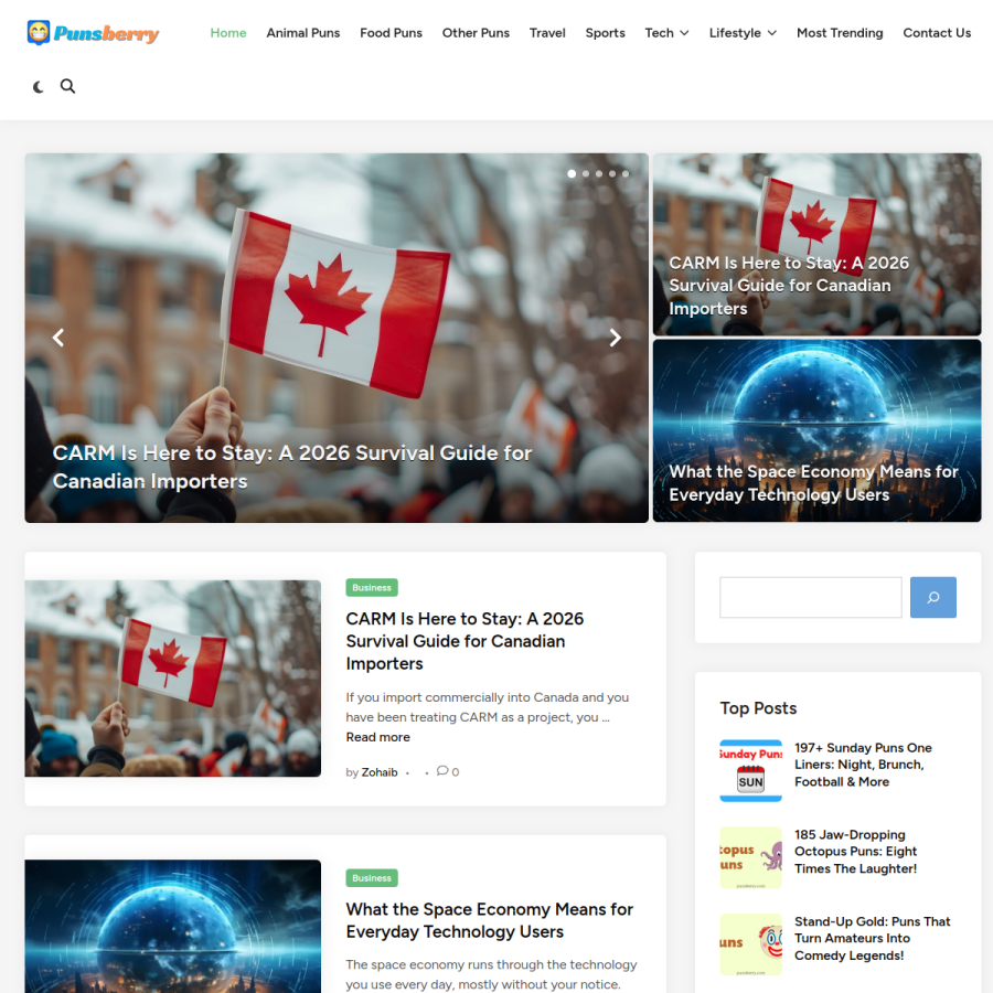punsberry.com homepage screenshot