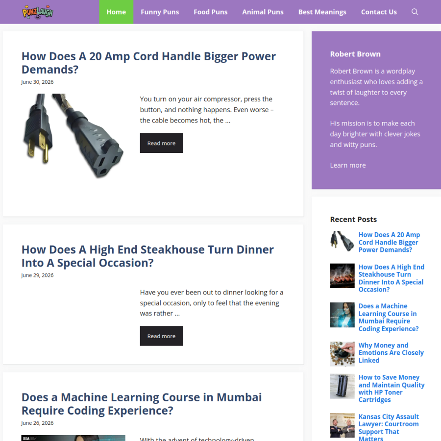punzlaugh.com homepage screenshot