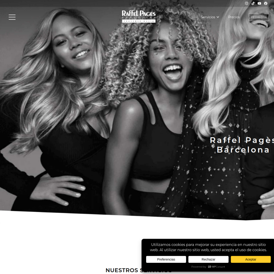 raffelpagesfrancescmacia.com homepage screenshot