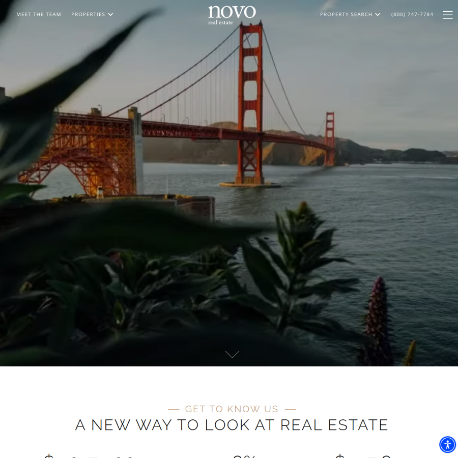 realestatenovo.com homepage screenshot