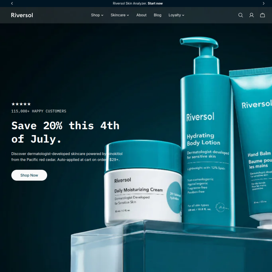 riversol.com homepage screenshot