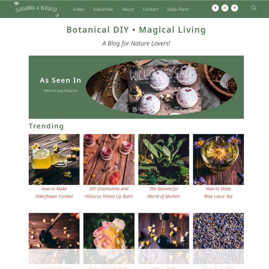 schisandraandbergamot.com homepage screenshot