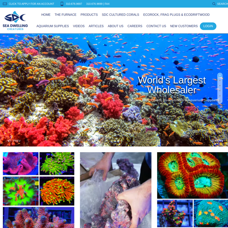 seadwelling.com homepage screenshot