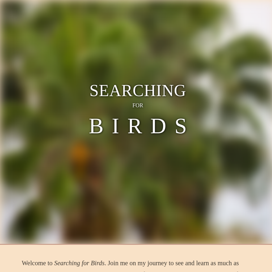 searchingforbirds.com homepage screenshot