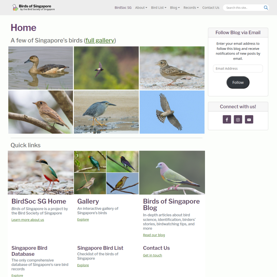 singaporebirds.com homepage screenshot