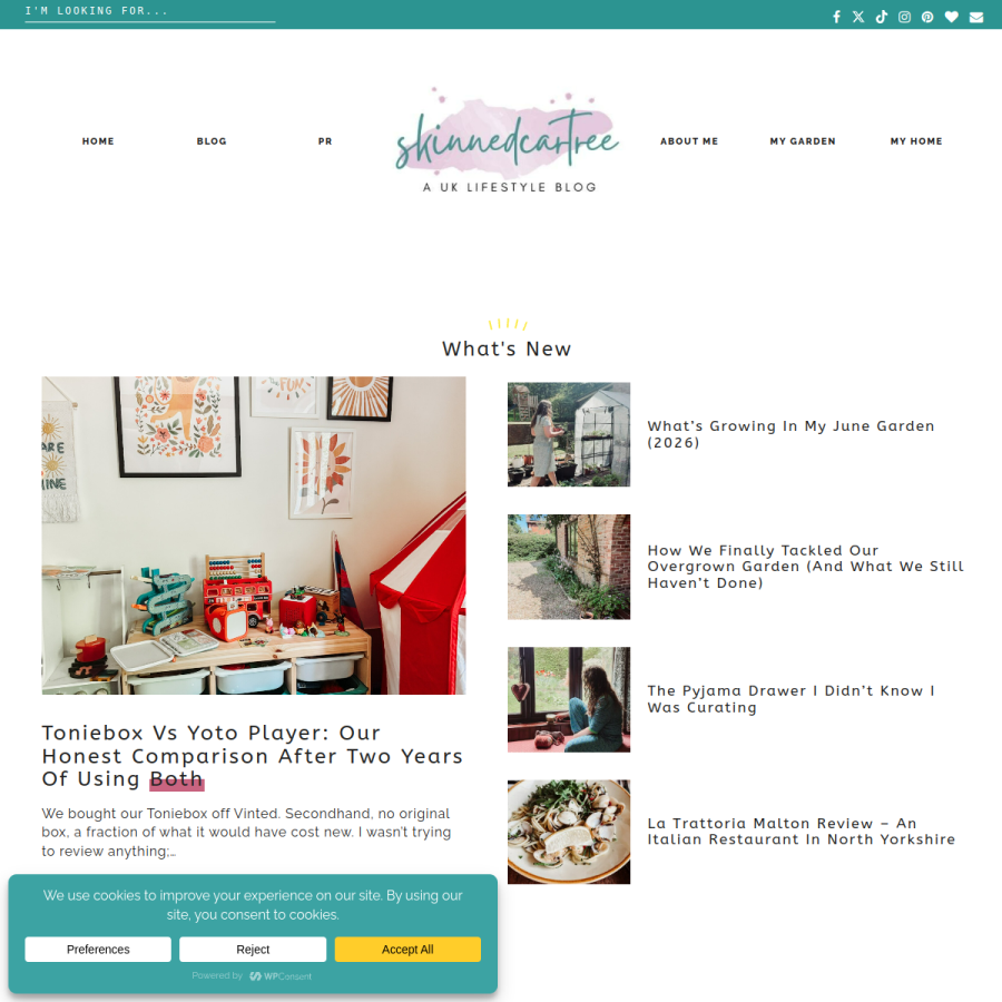 skinnedcartree.com homepage screenshot