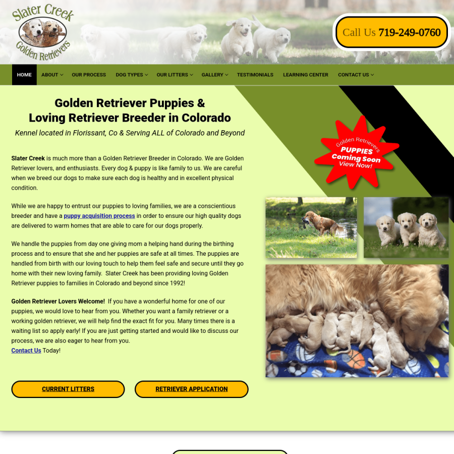 slatercreekgoldenretrievers.com homepage screenshot