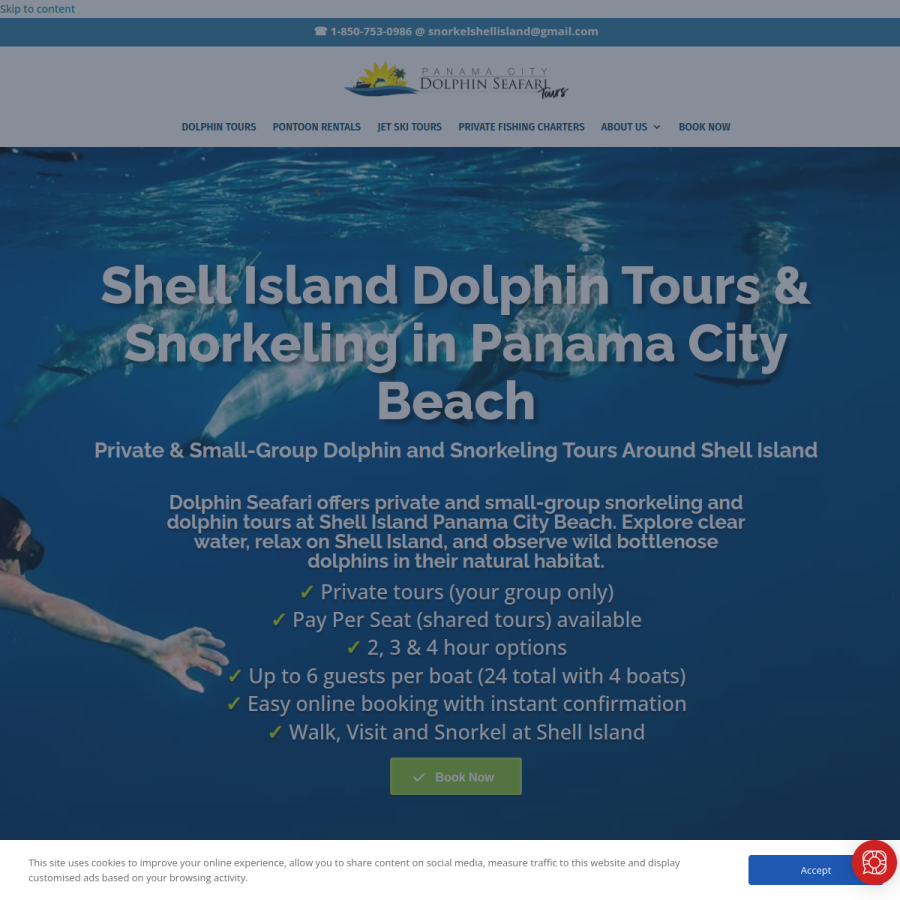 snorkelshellisland.com homepage screenshot