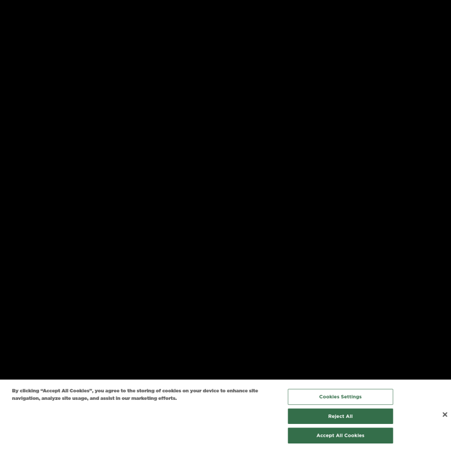 spaceselfie.com homepage screenshot