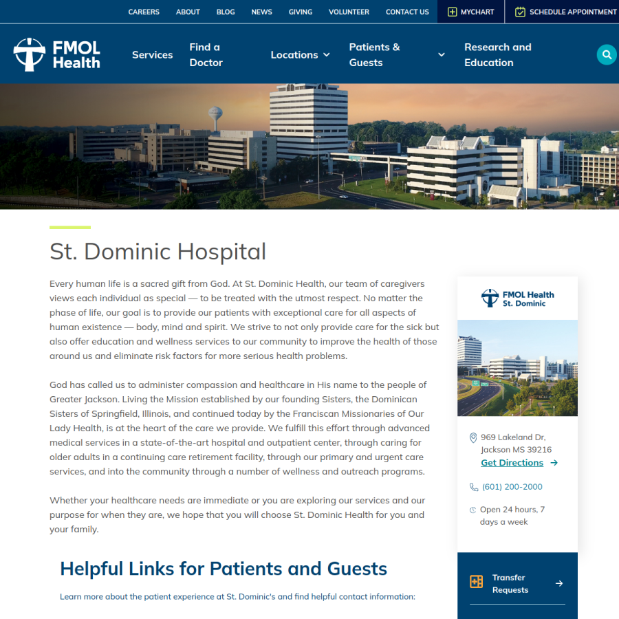 stdom.com homepage screenshot