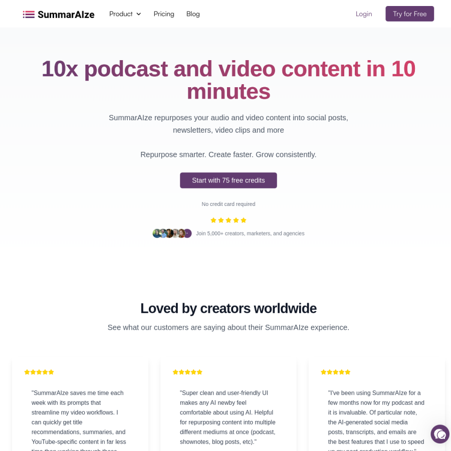 summaraize.com homepage screenshot