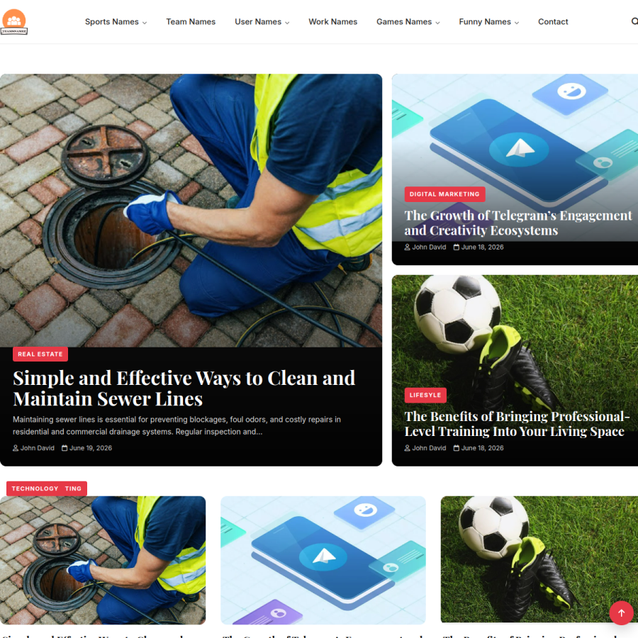 teamsnamez.com homepage screenshot