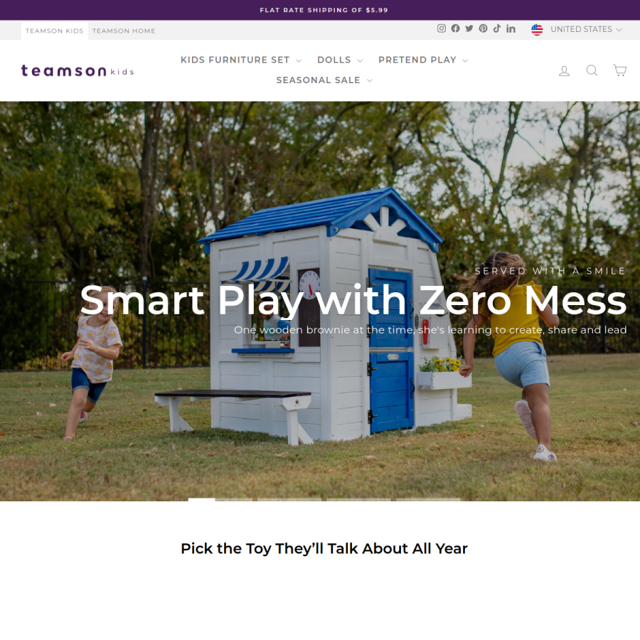 teamson.com homepage screenshot