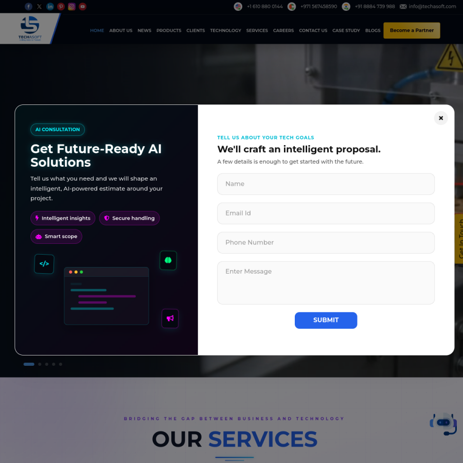 techasoft.com homepage screenshot