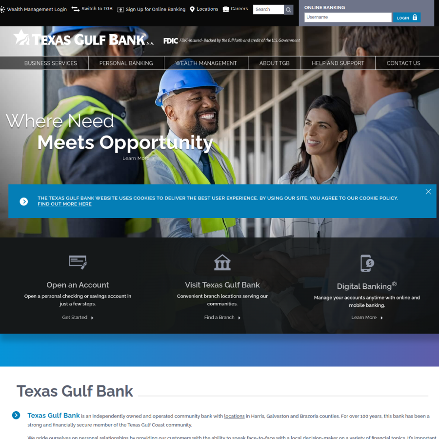 texasgulfbank.com homepage screenshot