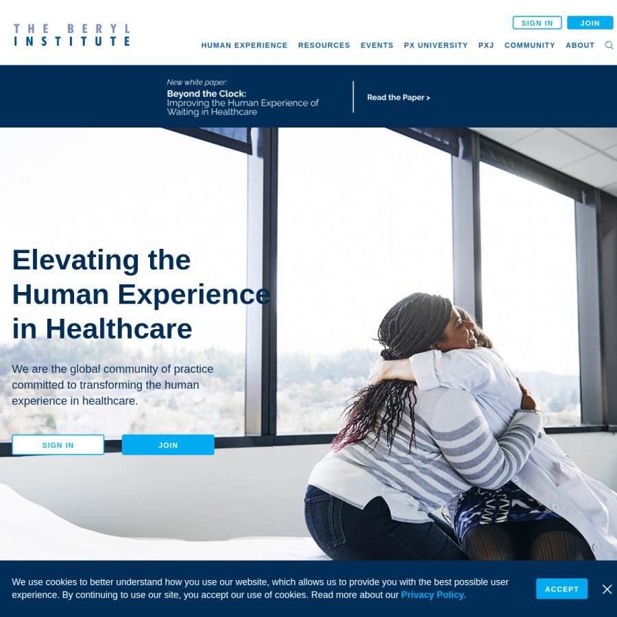 theberylinstitute.org homepage screenshot