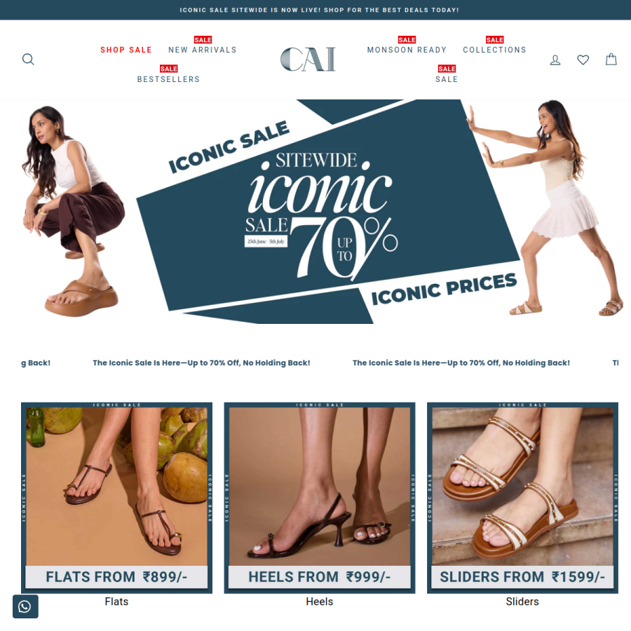 thecaistore.com homepage screenshot