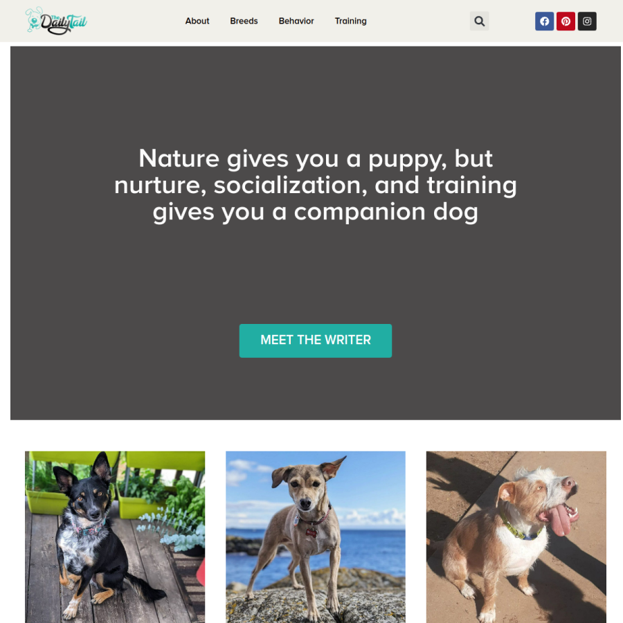 thedailytail.com homepage screenshot