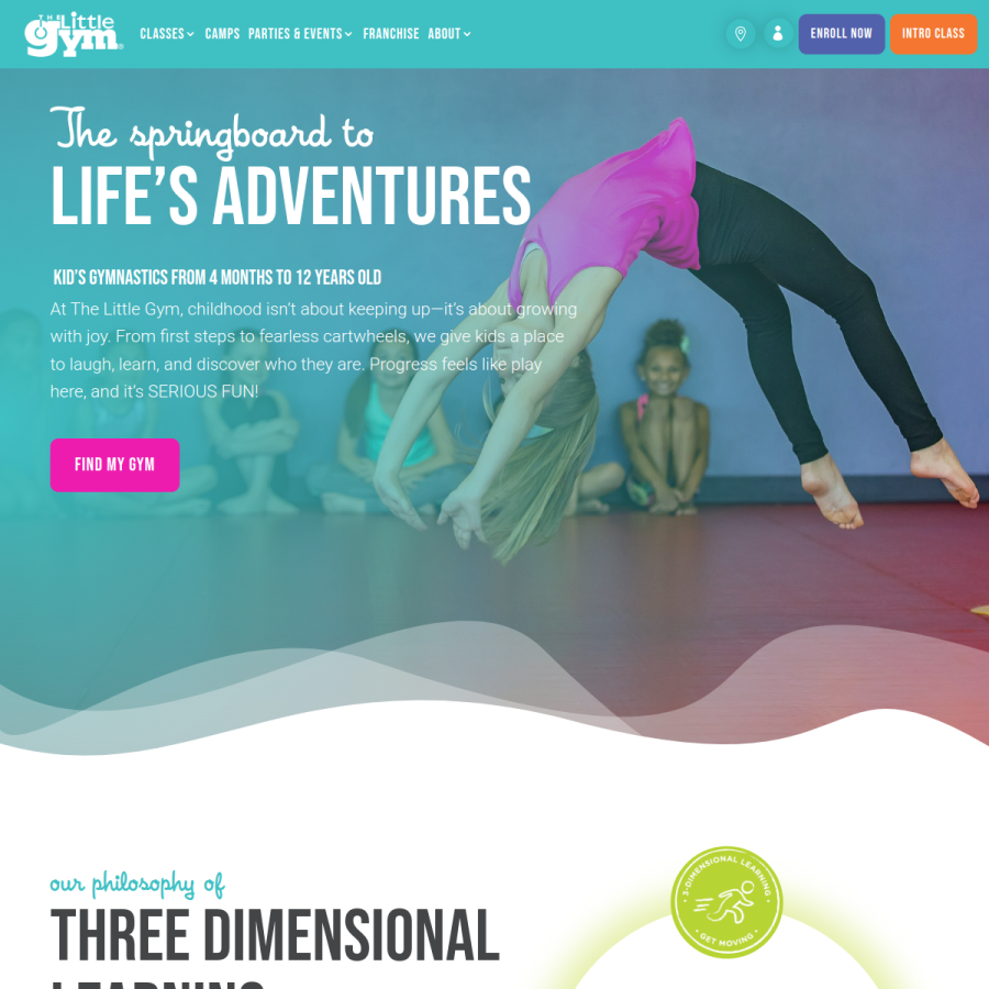 thelittlegym.com homepage screenshot