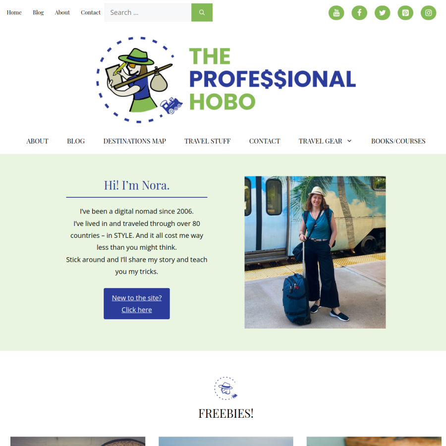 theprofessionalhobo.com homepage screenshot