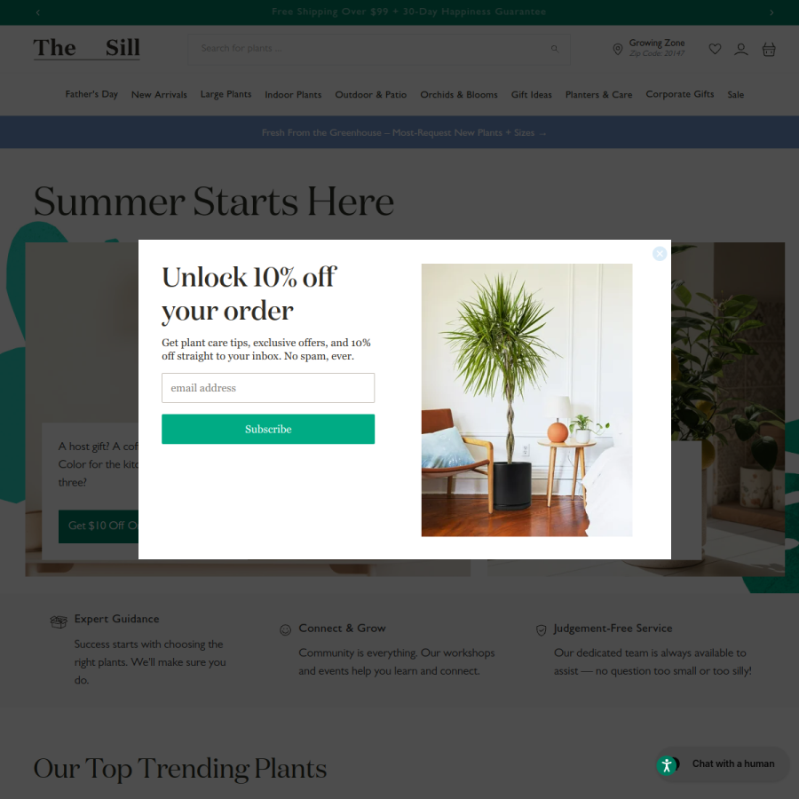 thesill.com homepage screenshot