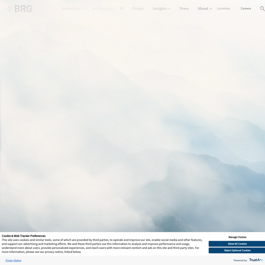 thinkbrg.com homepage screenshot