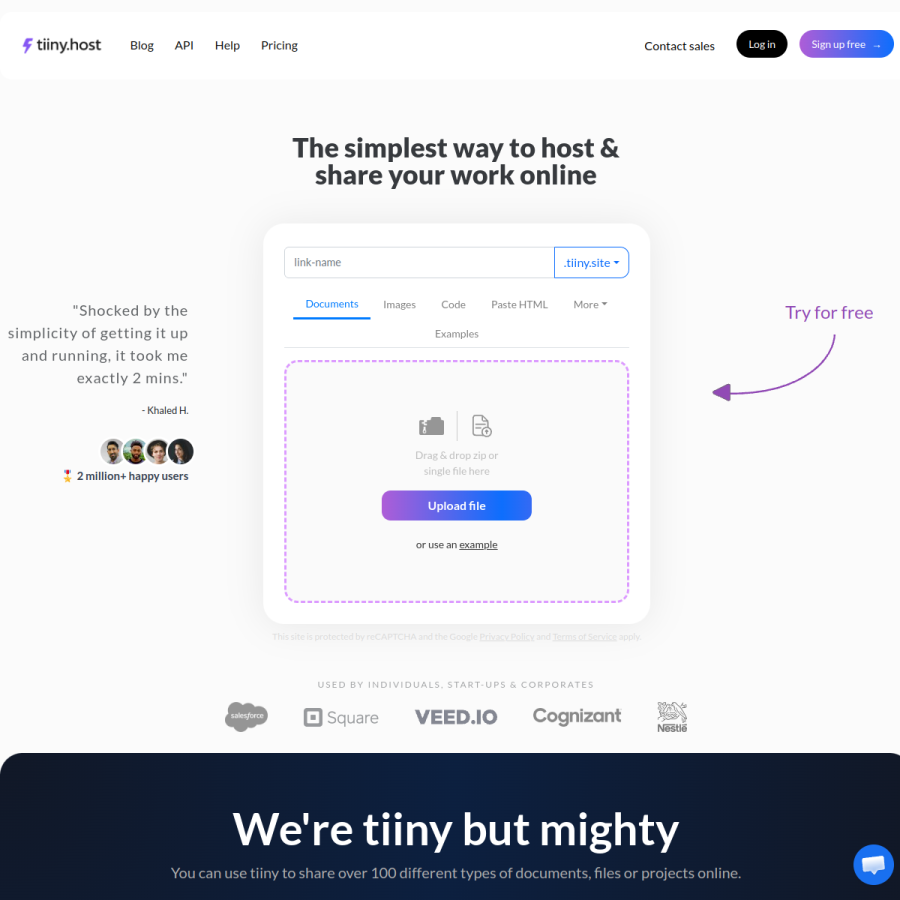 tiiny.host homepage screenshot