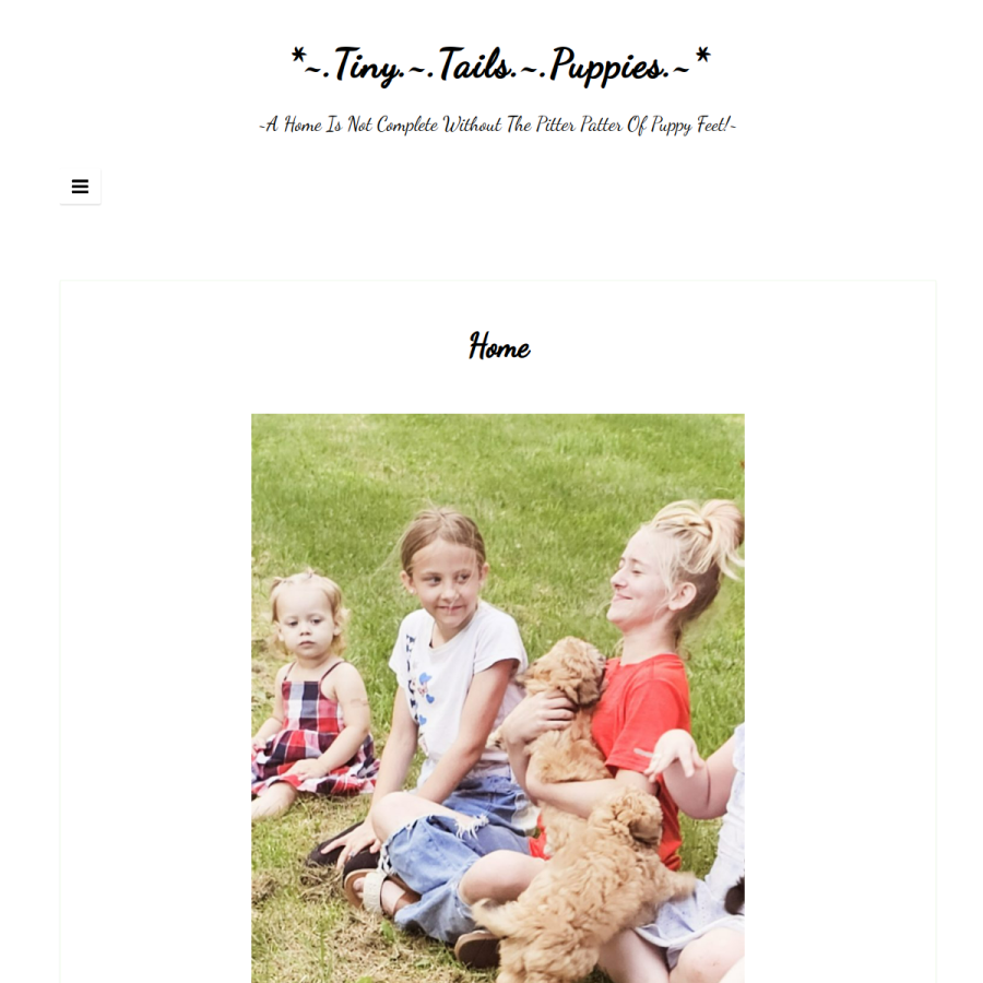 tinytailspuppies.com homepage screenshot