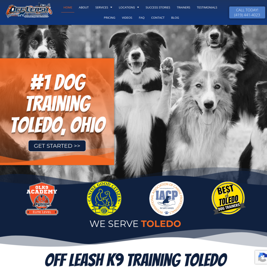 toledodogtrainers.com homepage screenshot