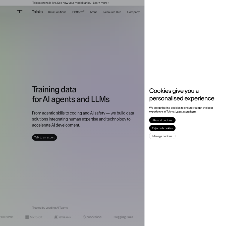 toloka.ai homepage screenshot