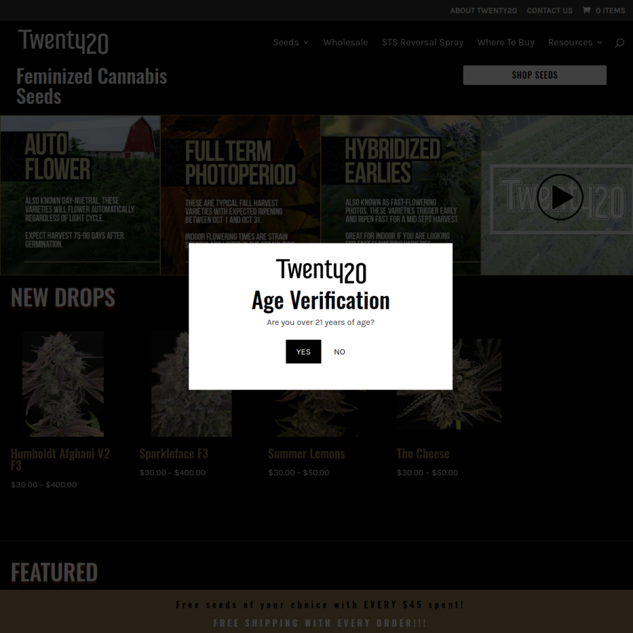 twenty20mendocino.com homepage screenshot