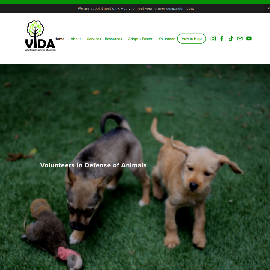 vida4animals.org homepage screenshot