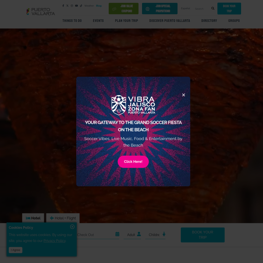 visitpuertovallarta.com homepage screenshot