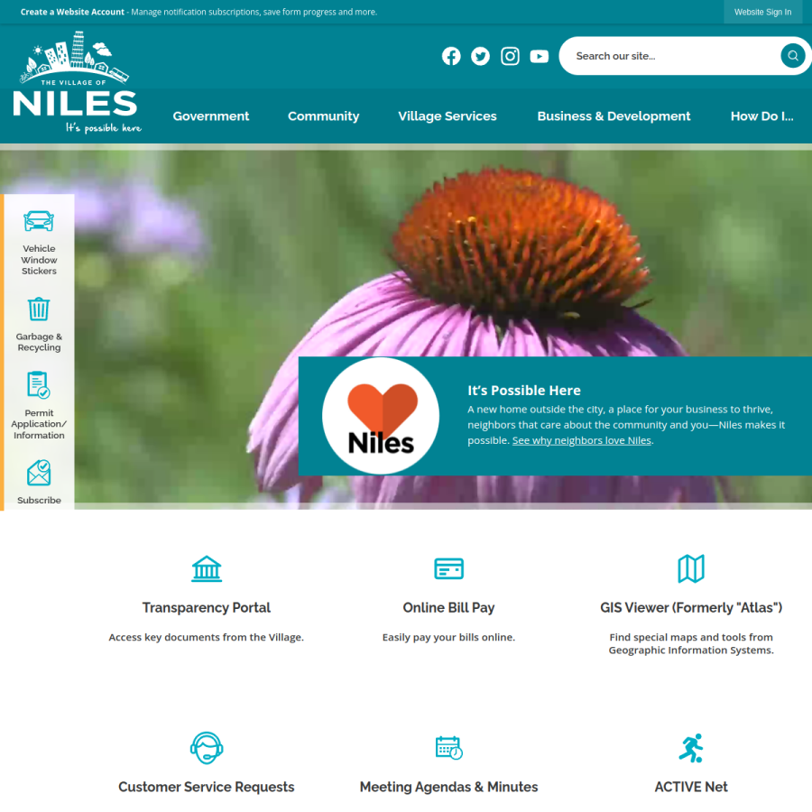 vniles.com homepage screenshot