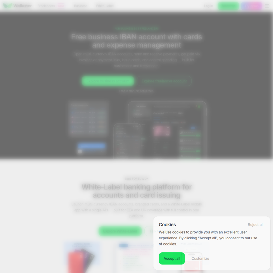wallester.com homepage screenshot
