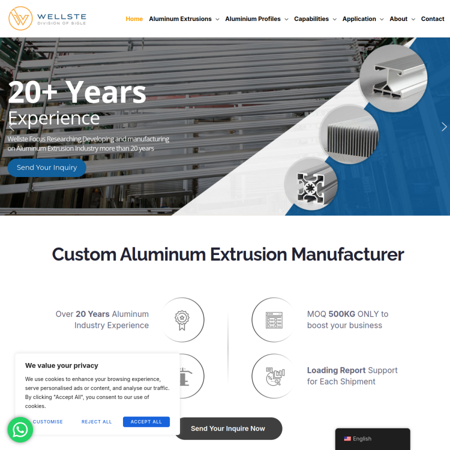 wellste.com homepage screenshot