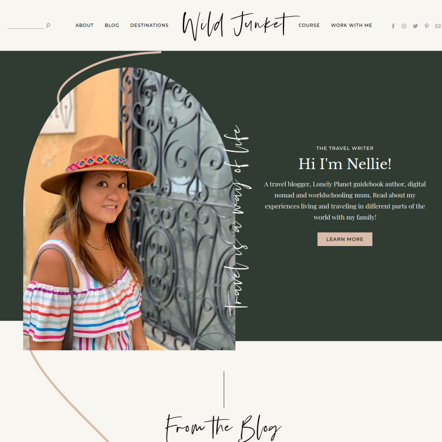 wildjunket.com homepage screenshot