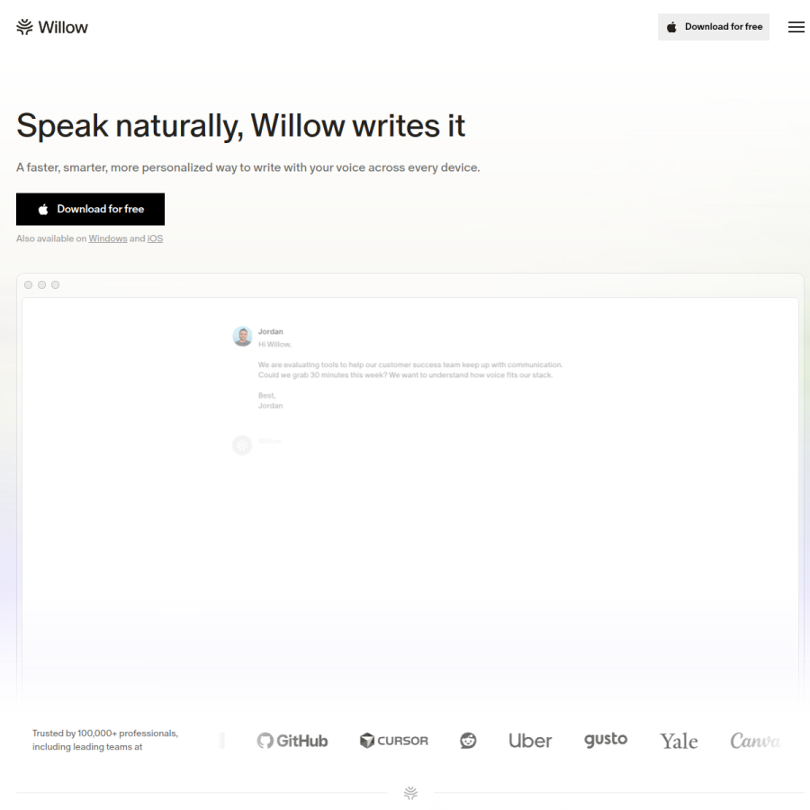 willowvoice.com homepage screenshot