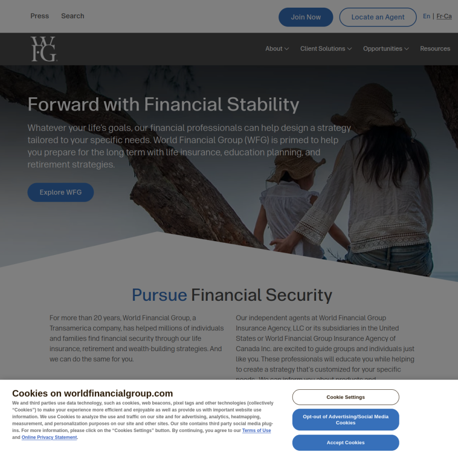 worldfinancialgroup.com homepage screenshot