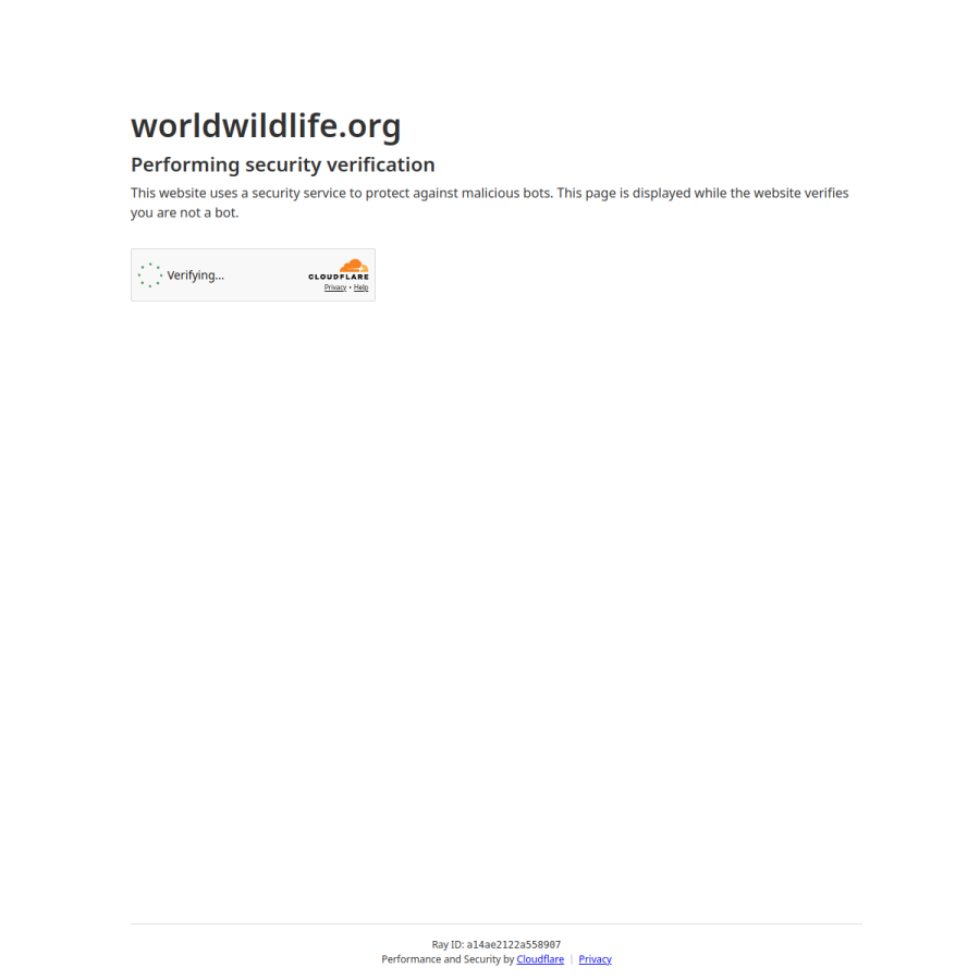 worldwildlife.org homepage screenshot