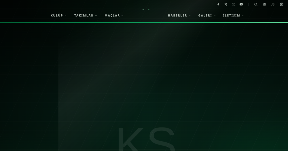 Kocaelispor — web sitesi önizlemesi