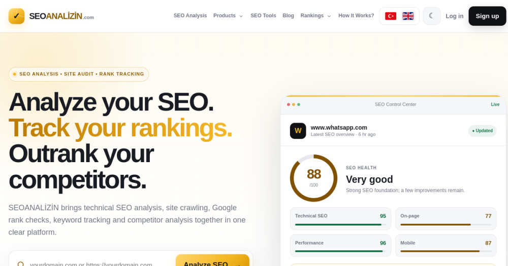 Seoanalizin — website preview
